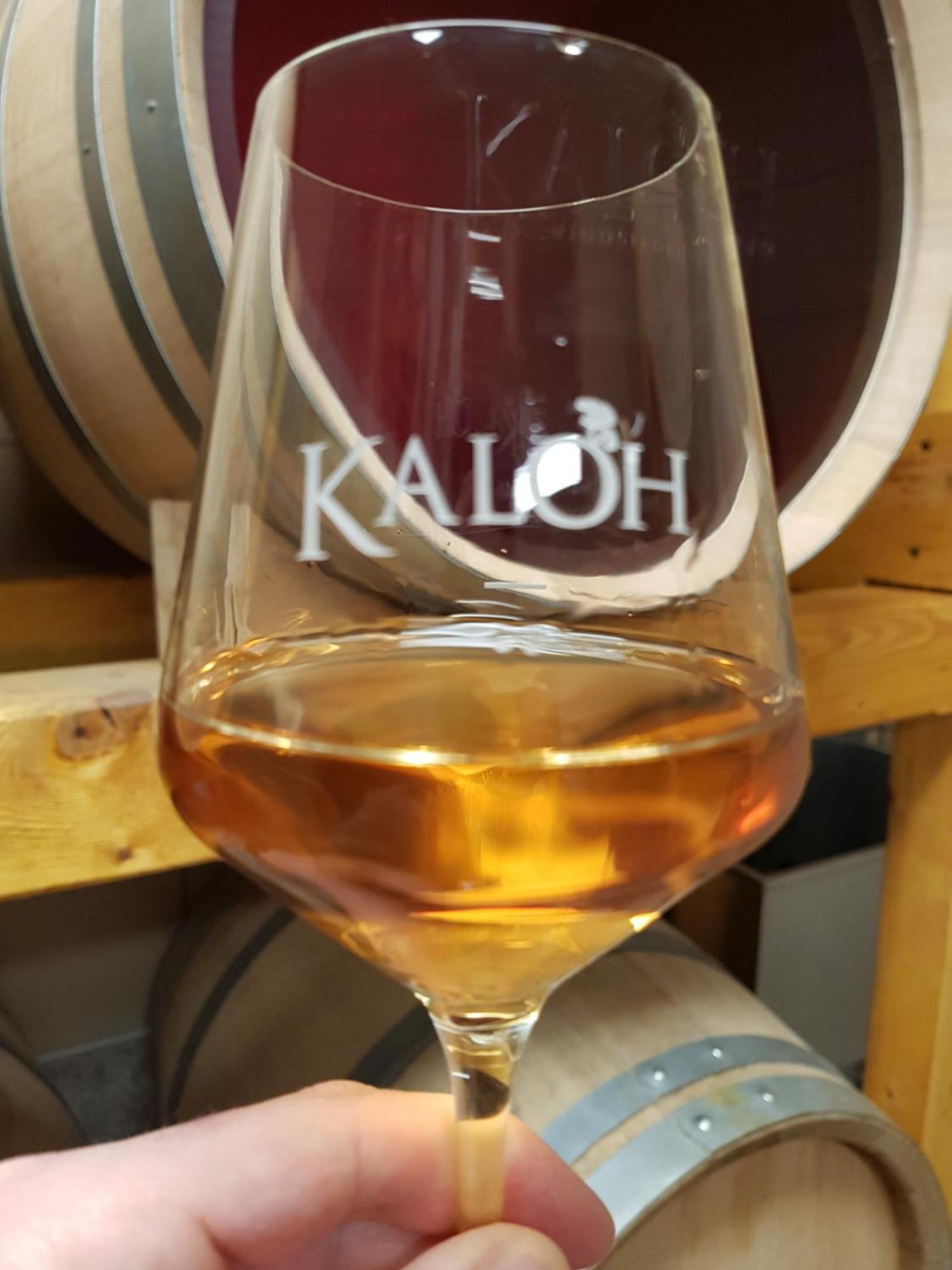 Willa Wine House Kaloh Maribor Zewnętrze zdjęcie