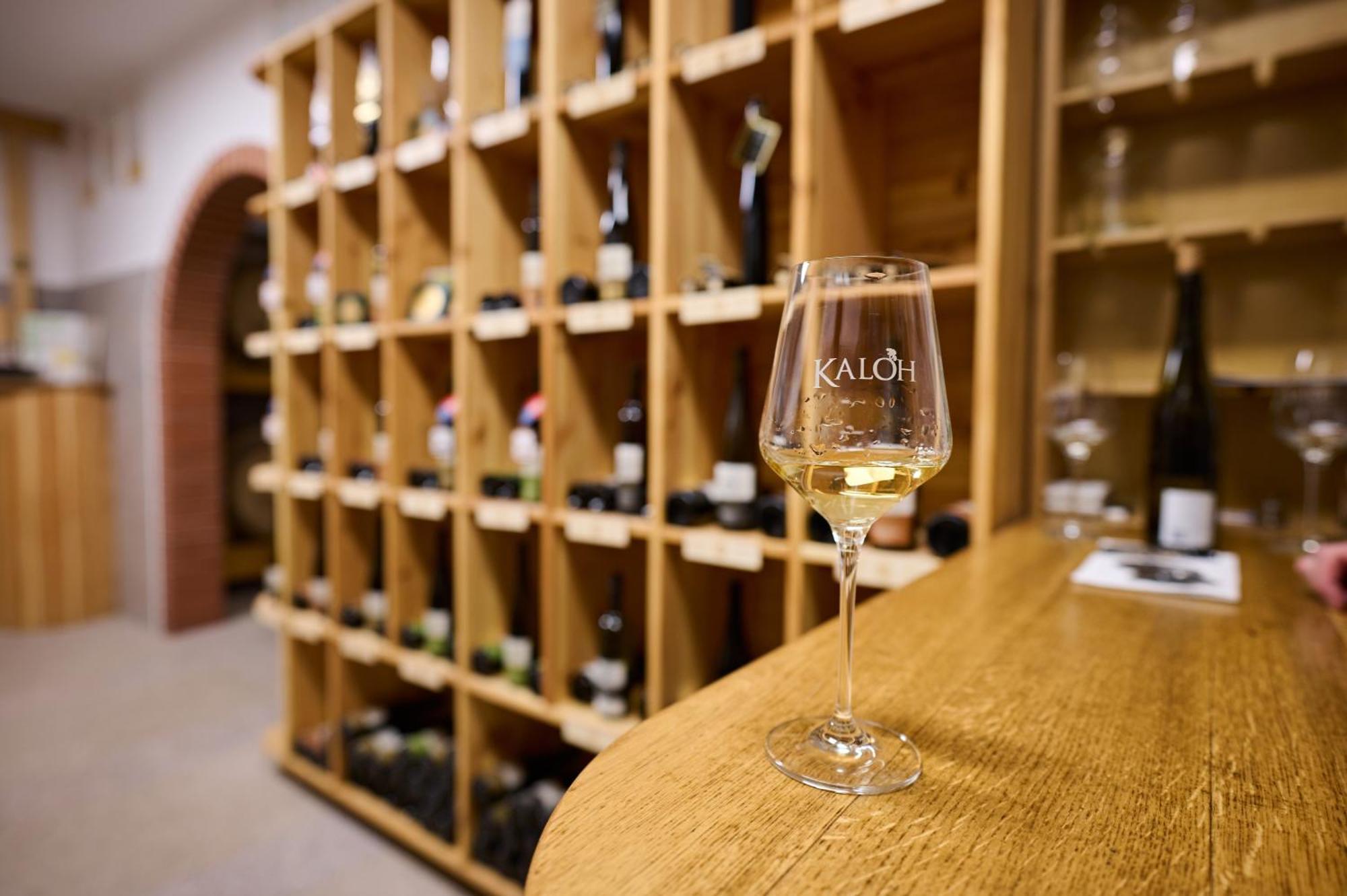 Willa Wine House Kaloh Maribor Zewnętrze zdjęcie