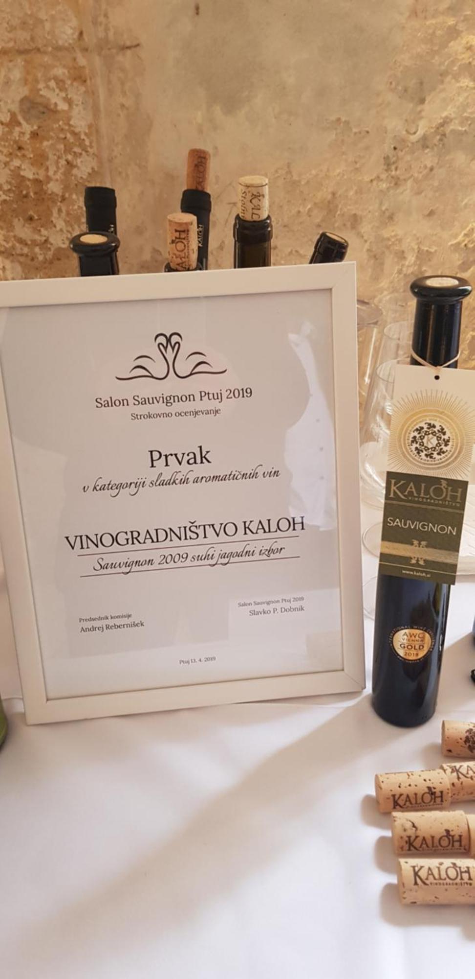 Willa Wine House Kaloh Maribor Zewnętrze zdjęcie