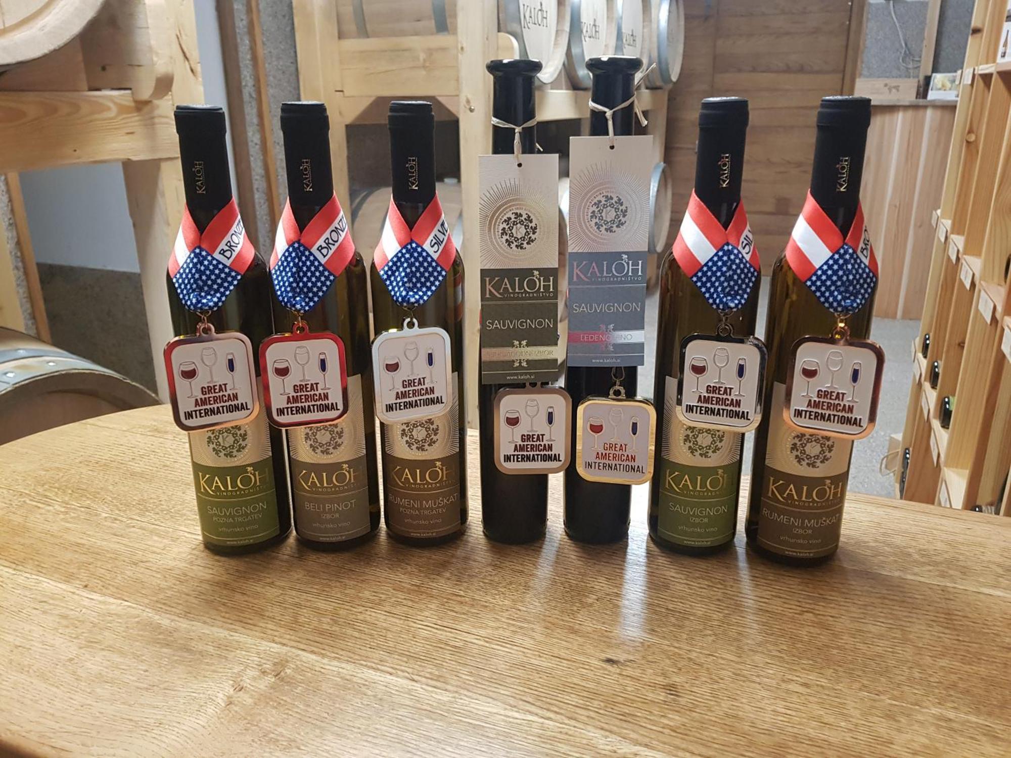 Willa Wine House Kaloh Maribor Zewnętrze zdjęcie