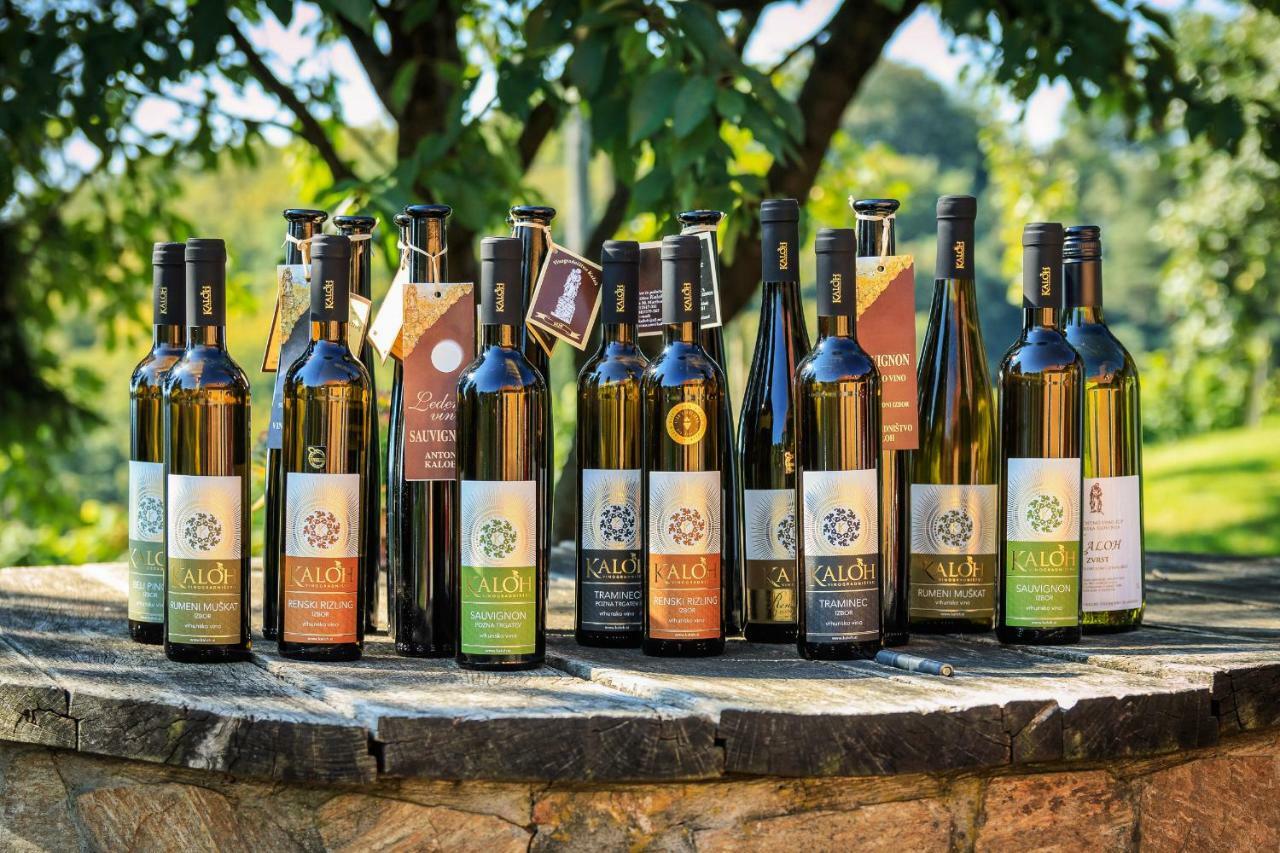 Willa Wine House Kaloh Maribor Zewnętrze zdjęcie