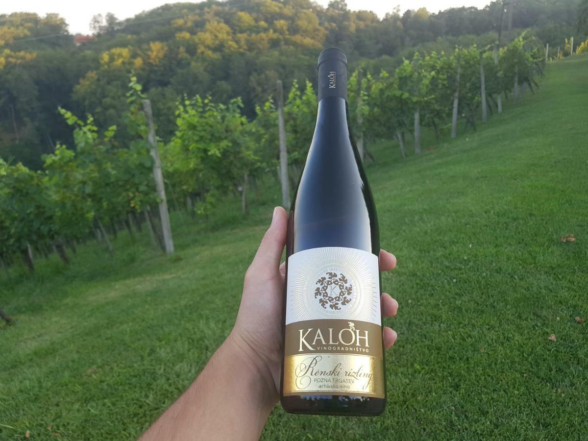 Willa Wine House Kaloh Maribor Zewnętrze zdjęcie
