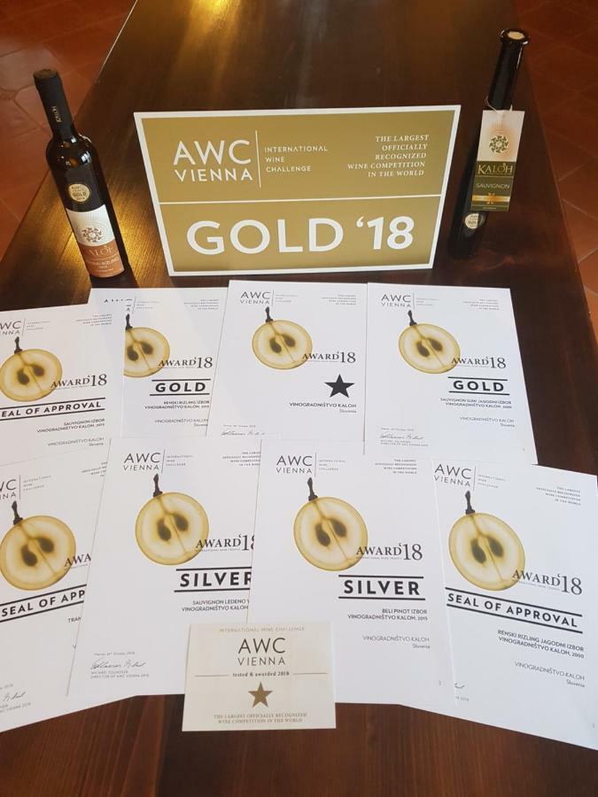 Willa Wine House Kaloh Maribor Zewnętrze zdjęcie