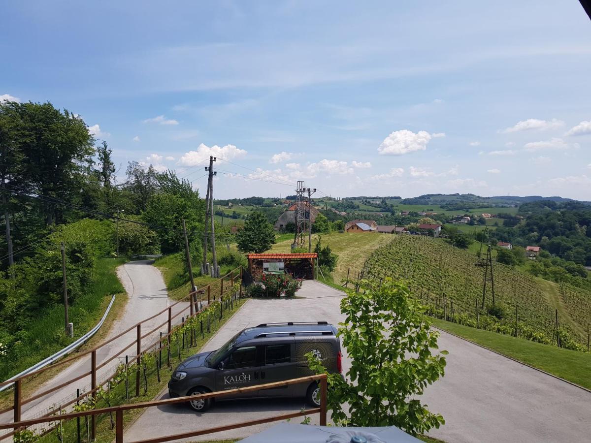 Willa Wine House Kaloh Maribor Zewnętrze zdjęcie